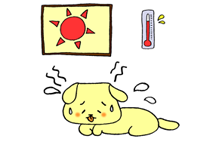 暑さ対策